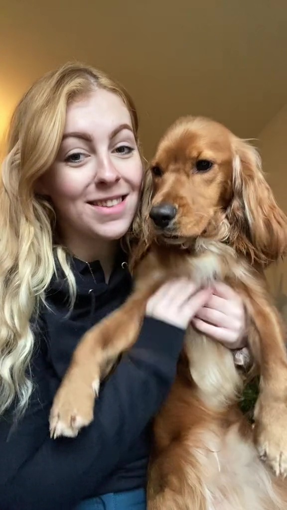 Lily, experte en chiens, a expliqué qu'il existe de nombreuses autres façons de fatiguer votre animal, sans même quitter la maison.