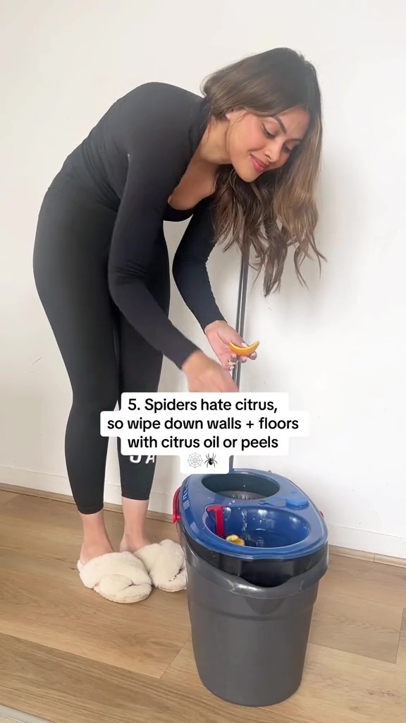 Elle a également affirmé que les araignées détestent les agrumes, alors ne jetez pas la peau la prochaine fois que vous mangerez une orange.