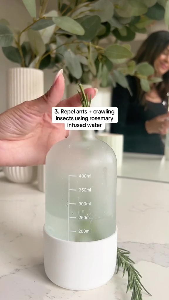 Elle a expliqué que son eau de romarin DIY repousserait les fourmis et les insectes rampants.