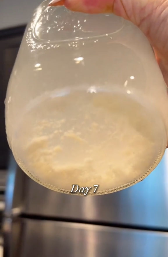 Vous laissez l'eau de riz reposer à température ambiante pendant environ une semaine