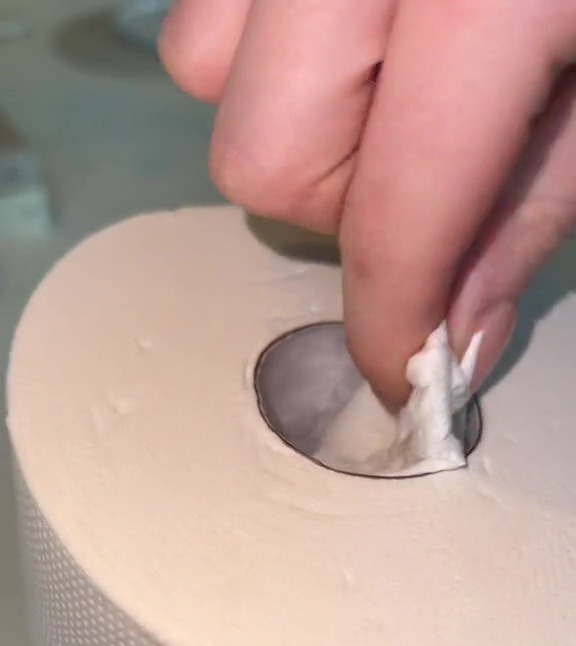 Après avoir trempé du papier essuie-tout dans Zoflora, elle l'a utilisé pour essuyer l'intérieur d'un papier toilette.